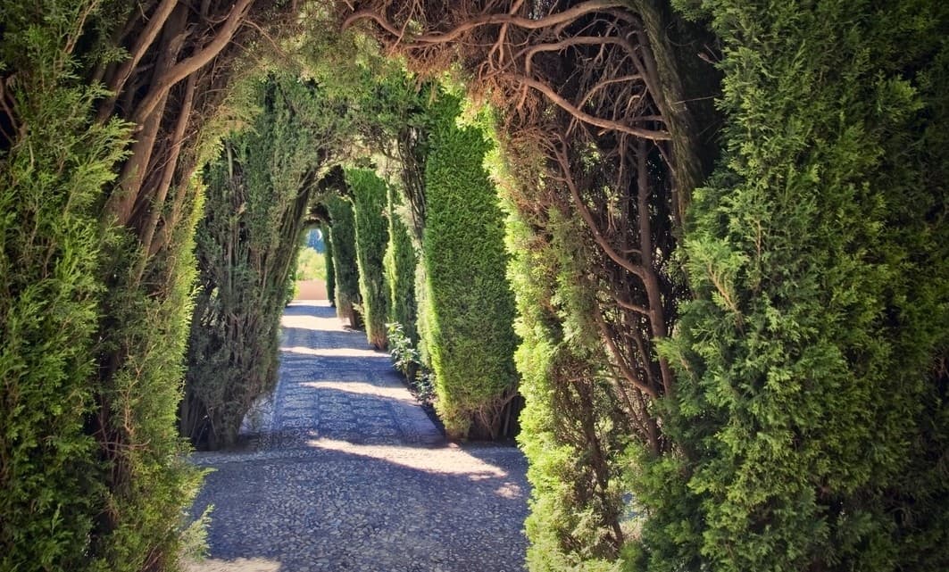 Los jardines más exóticos del mundo