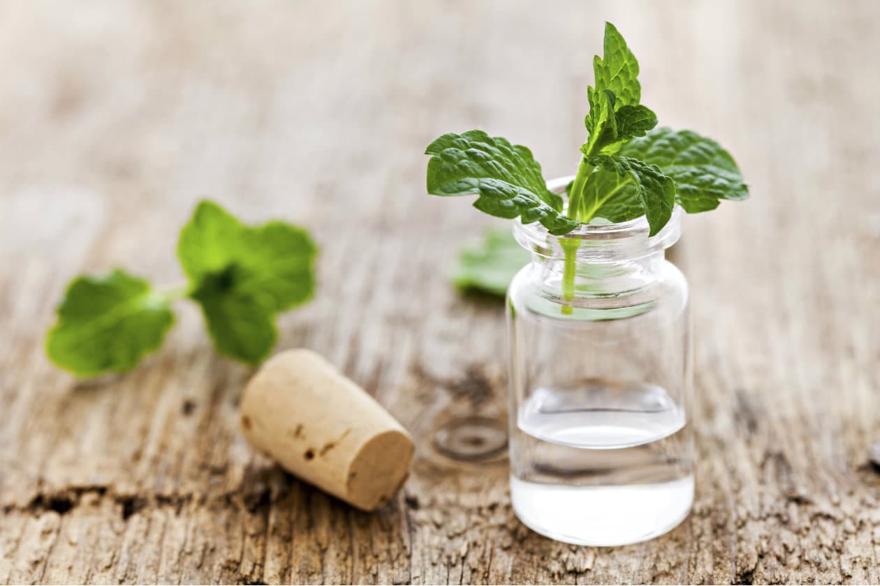 Crema para el cuerpo de menta, ¿te animas a probarla?