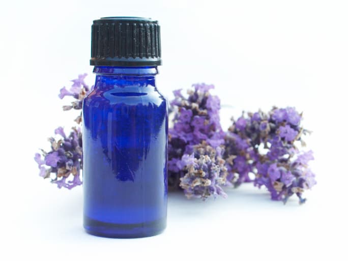 Plantas medicinales para el asma