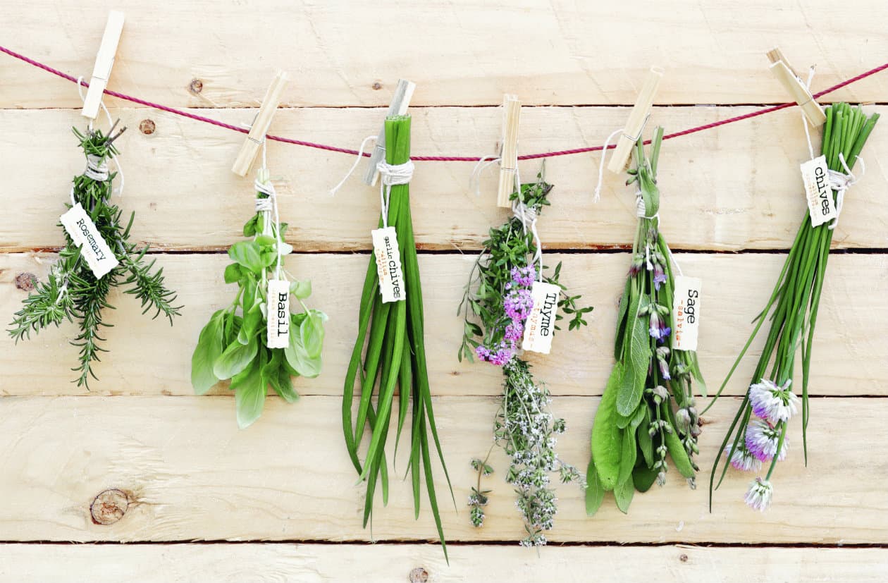 5 hierbas para cocinar que puedes cultivar en casa