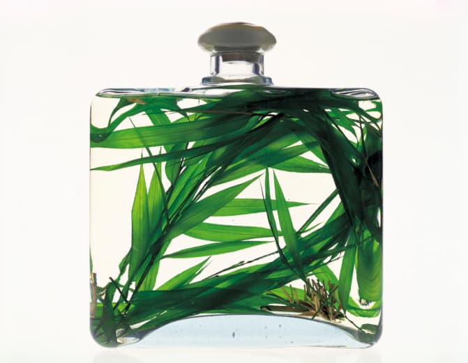 Cómo preparar un perfume natural y libre de químicos