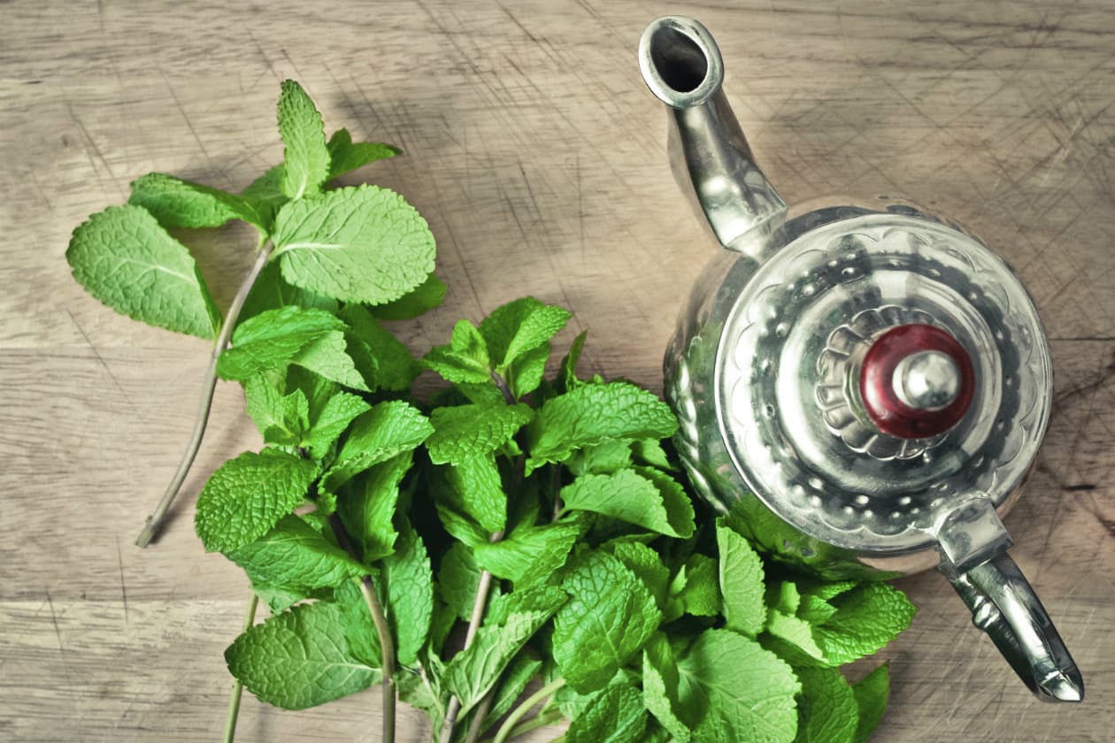 Si el chocolate caliente te gusta, deberías probar este delicioso chocolate caliente con menta