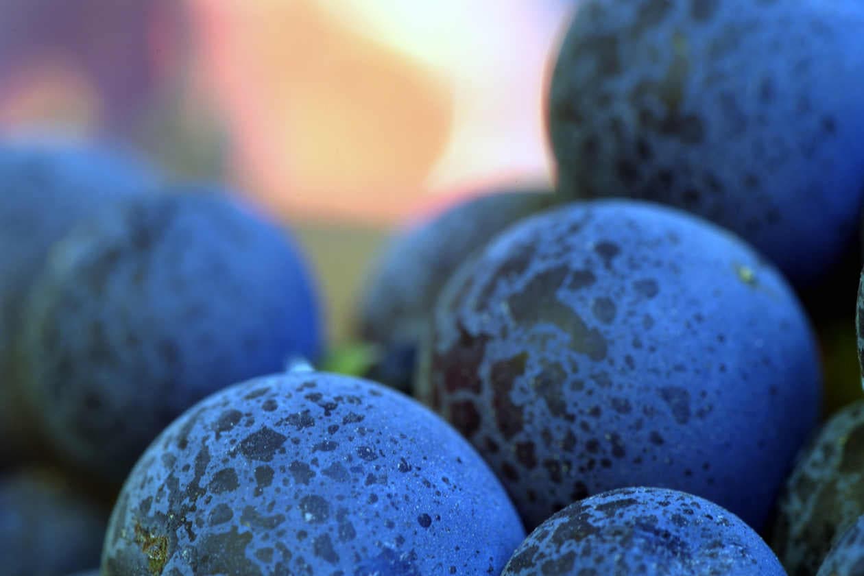 Las 10 frutas más saludables