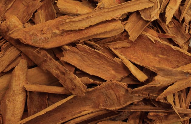 Más que una especia: la canela y sus propiedades medicinales