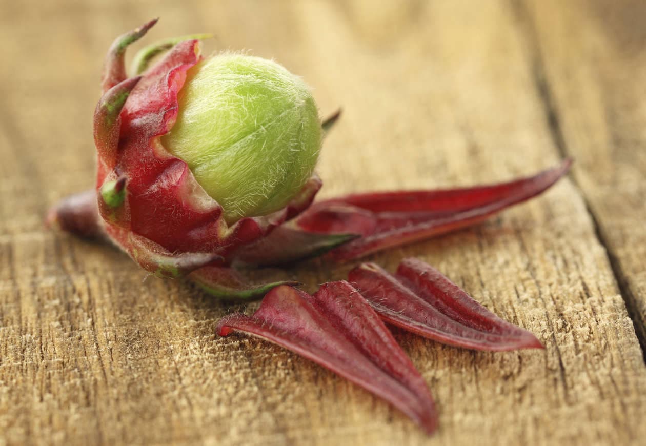 Tomar agua de jamaica puede ayudar a bajar la fiebre: 7 beneficios que ofrece su consumo