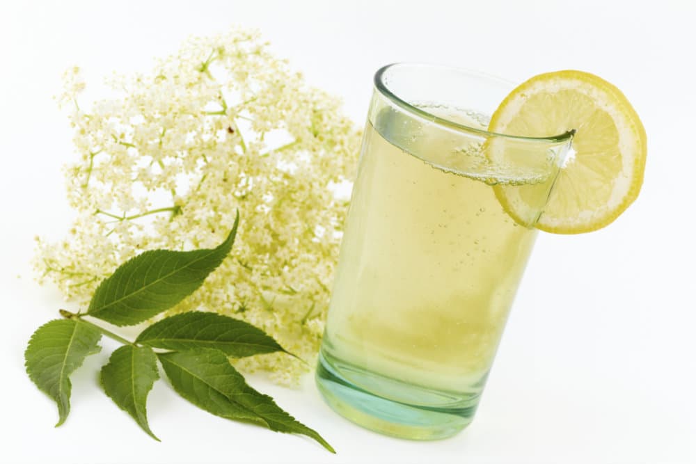 Propiedades de la flor del saúco