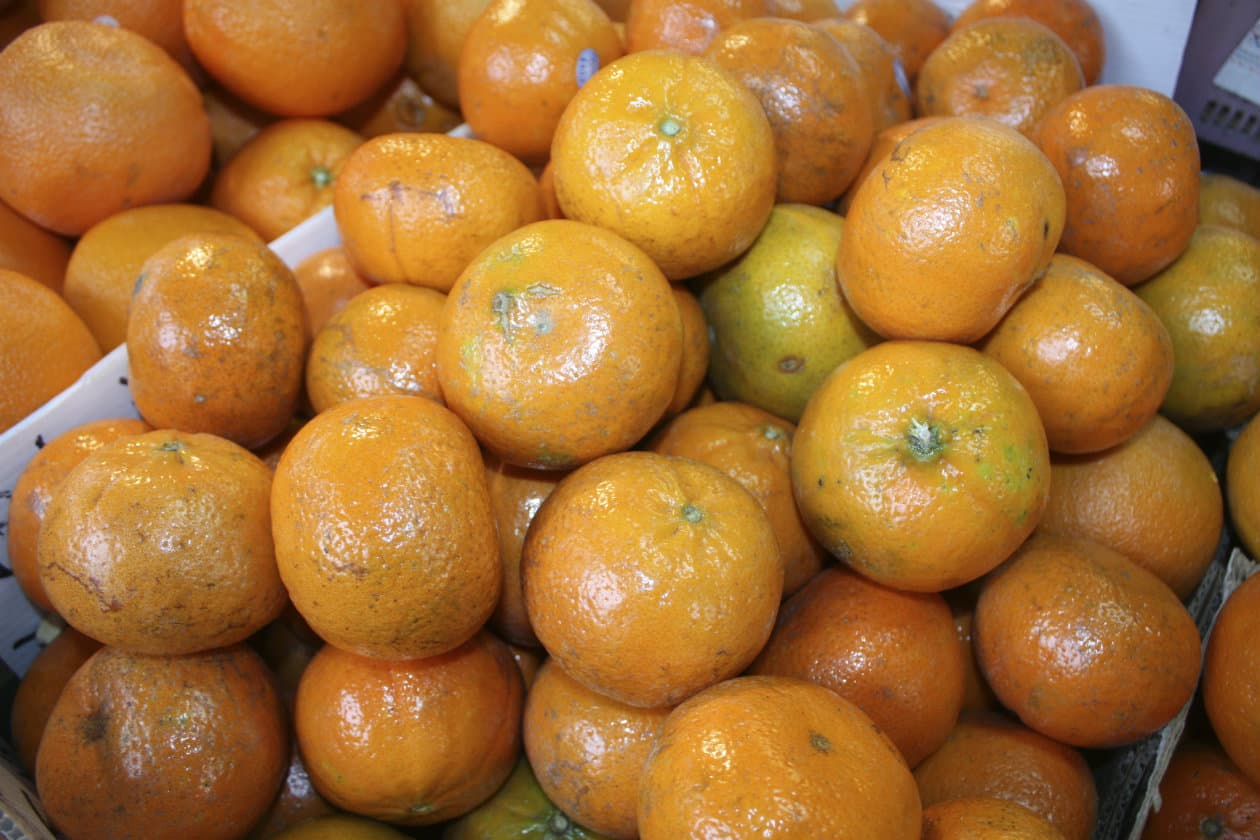 ¿Quieres perder peso? ¡Prueba la naranja amarga!