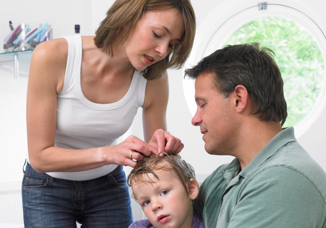 Remedios caseros para prevenir los piojos