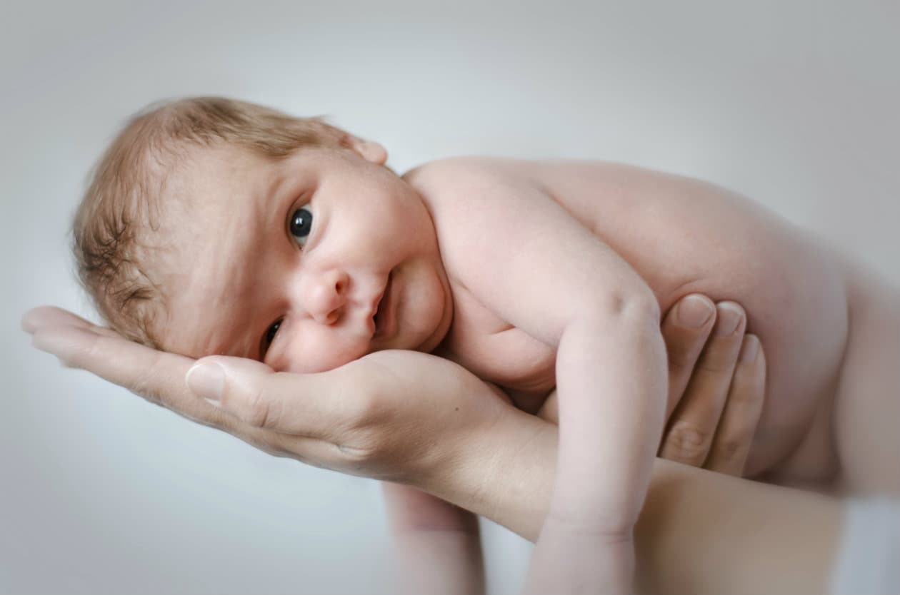 Remedios naturales para aumentar la producción de leche