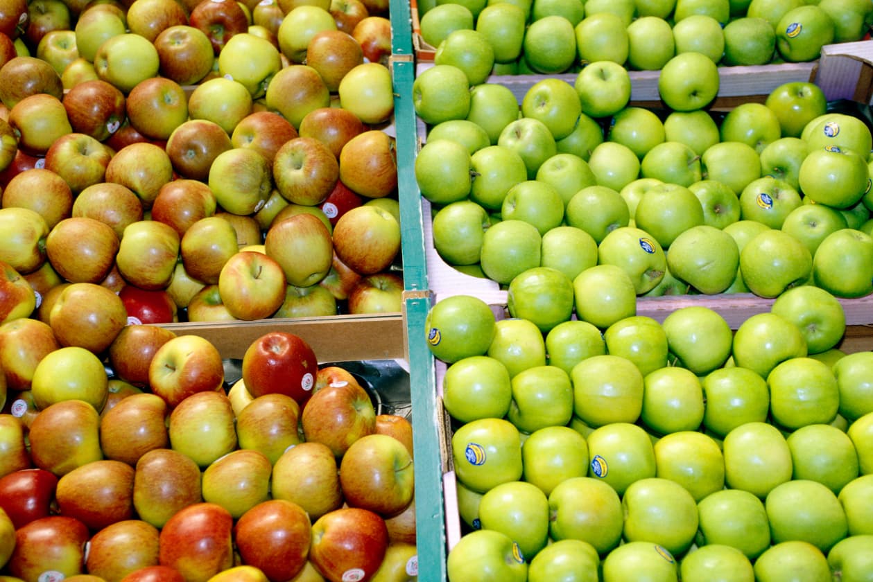 ¿Qué son los flavonoides?