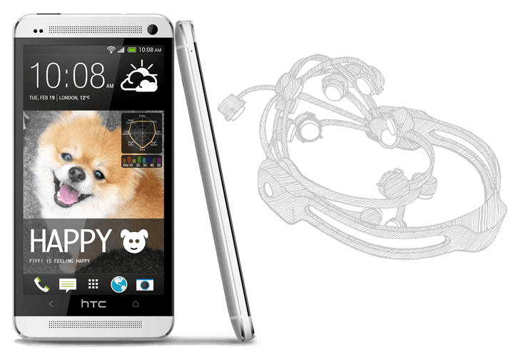 ¡Sorprendente! Con este invento la comunicación con tu mascota será viable