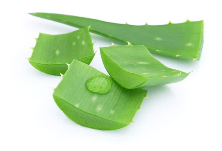Recetas para preparar geles y jugo de Aloe vera