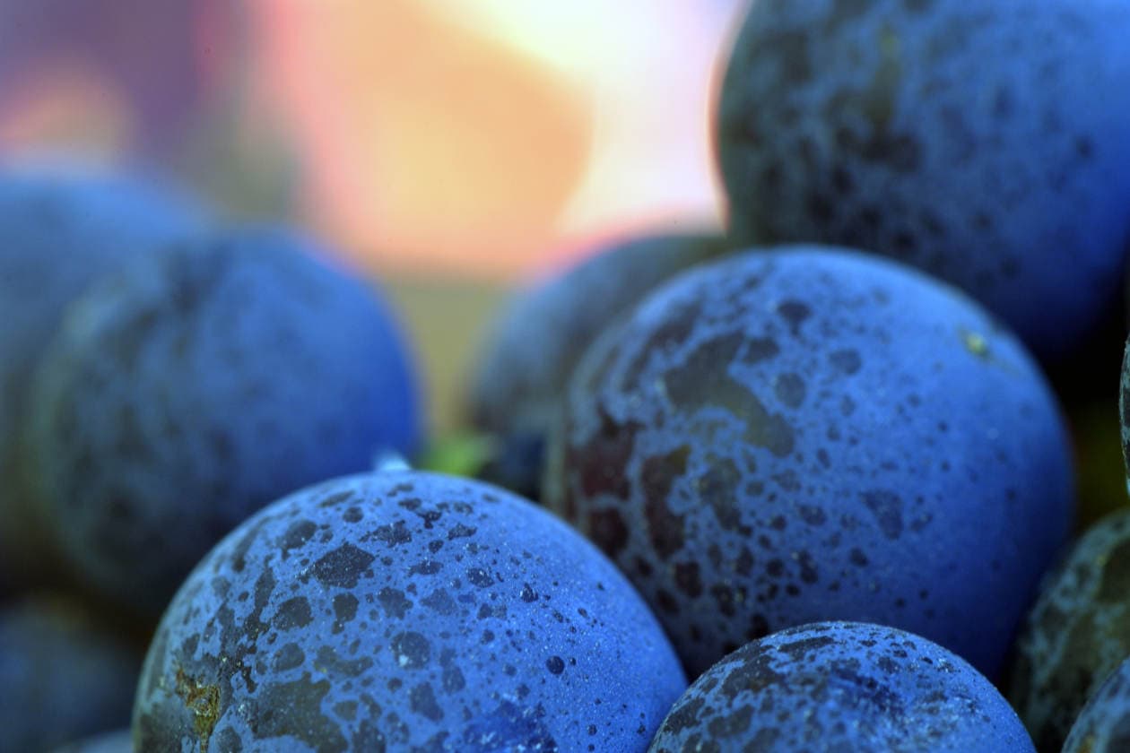 8 alimentos bajos en potasio