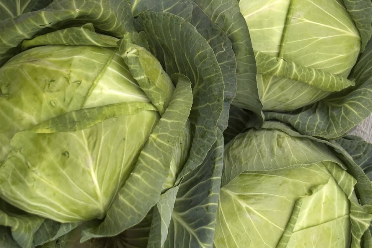 Estos son los 7 vegetales de hoja verde que deberías estar comiendo más