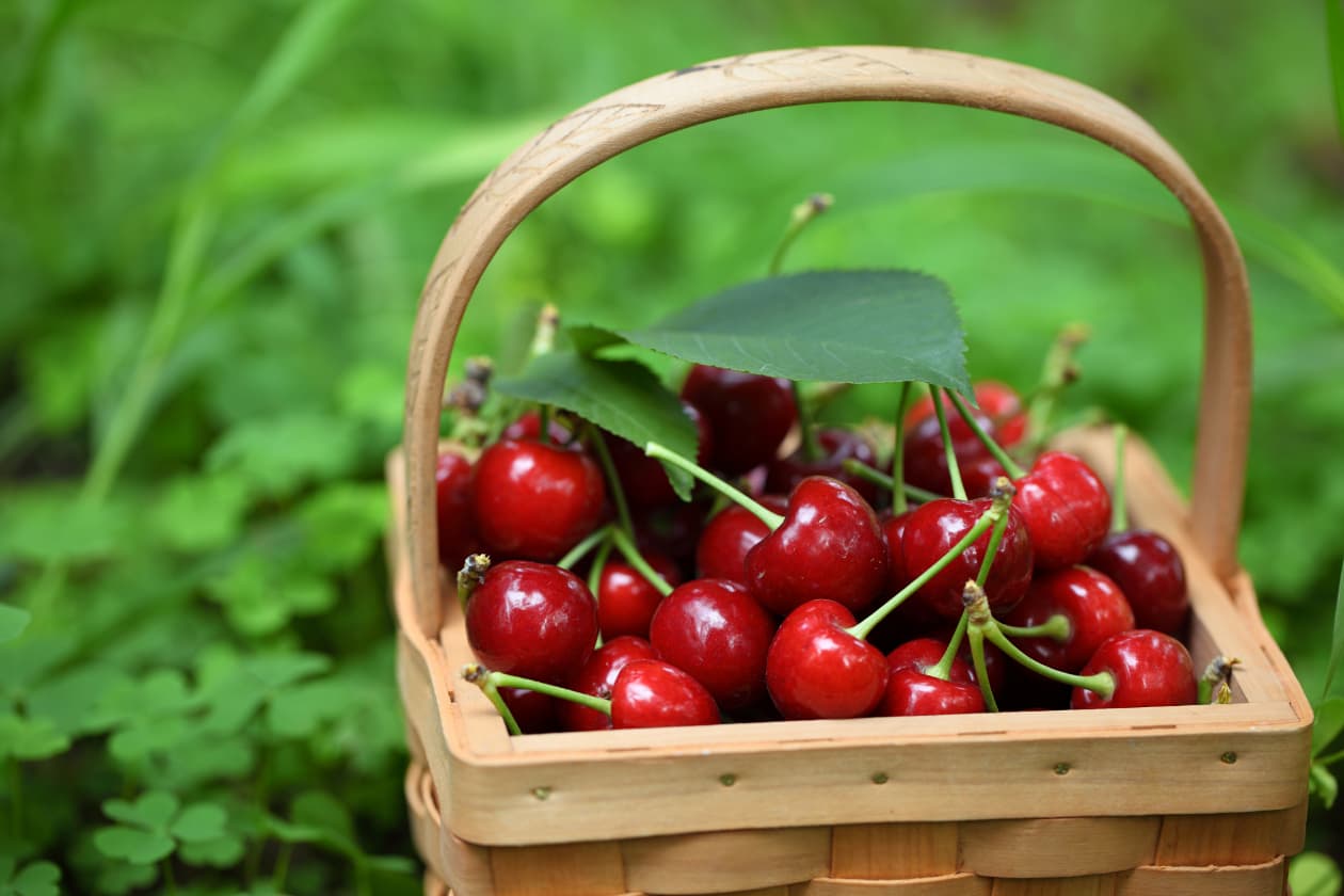Propiedades de las cerezas