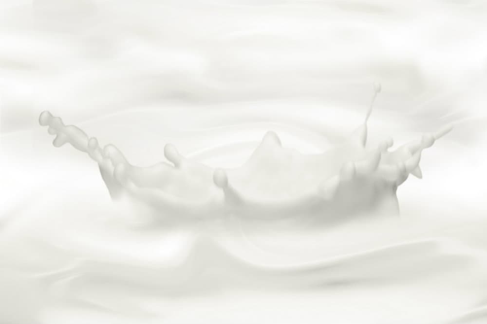 ¿Qué nutrientes aporta la leche al cuerpo?