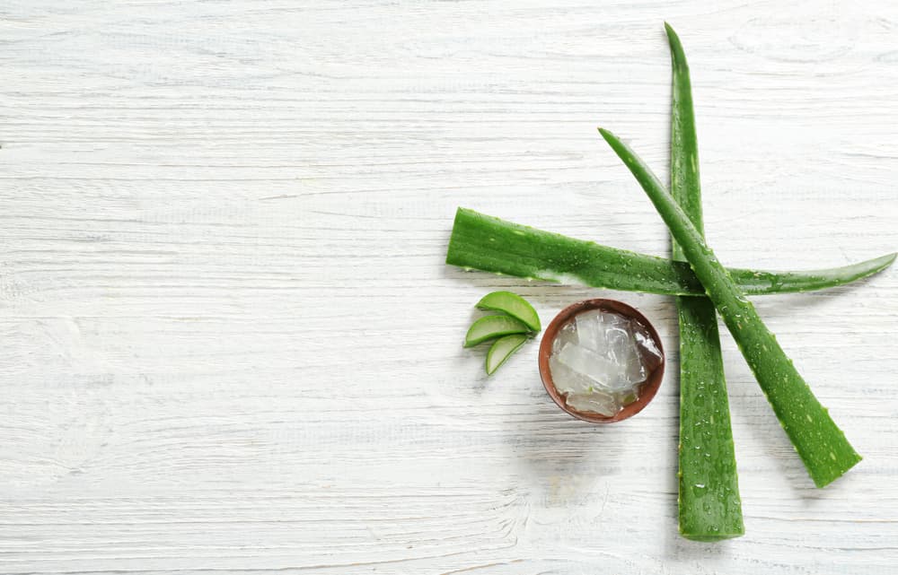 Un poco de aloe vera es todo lo que necesitas para reparar tu pelo: 5 mascarillas naturales