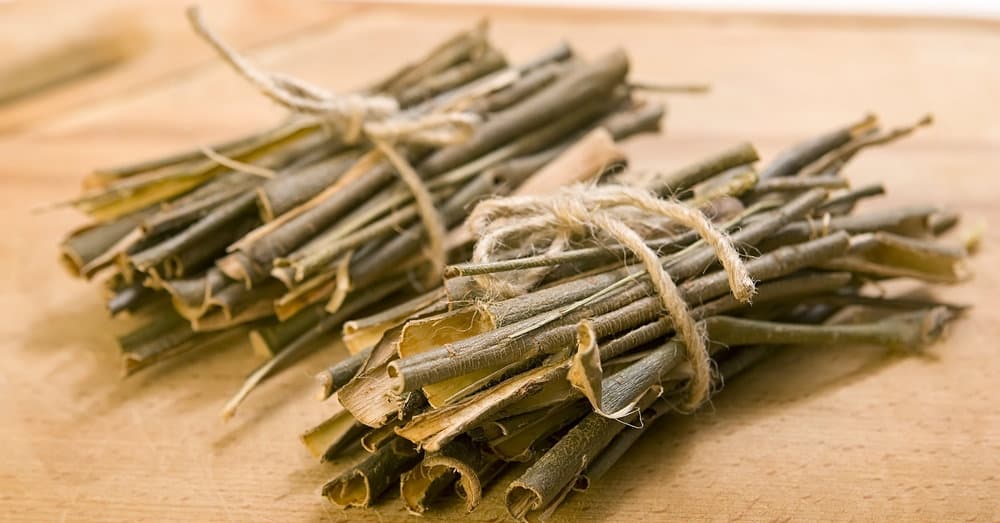 ¿Qué es el sauce blanco y por qué la cosmética se inspira en el?