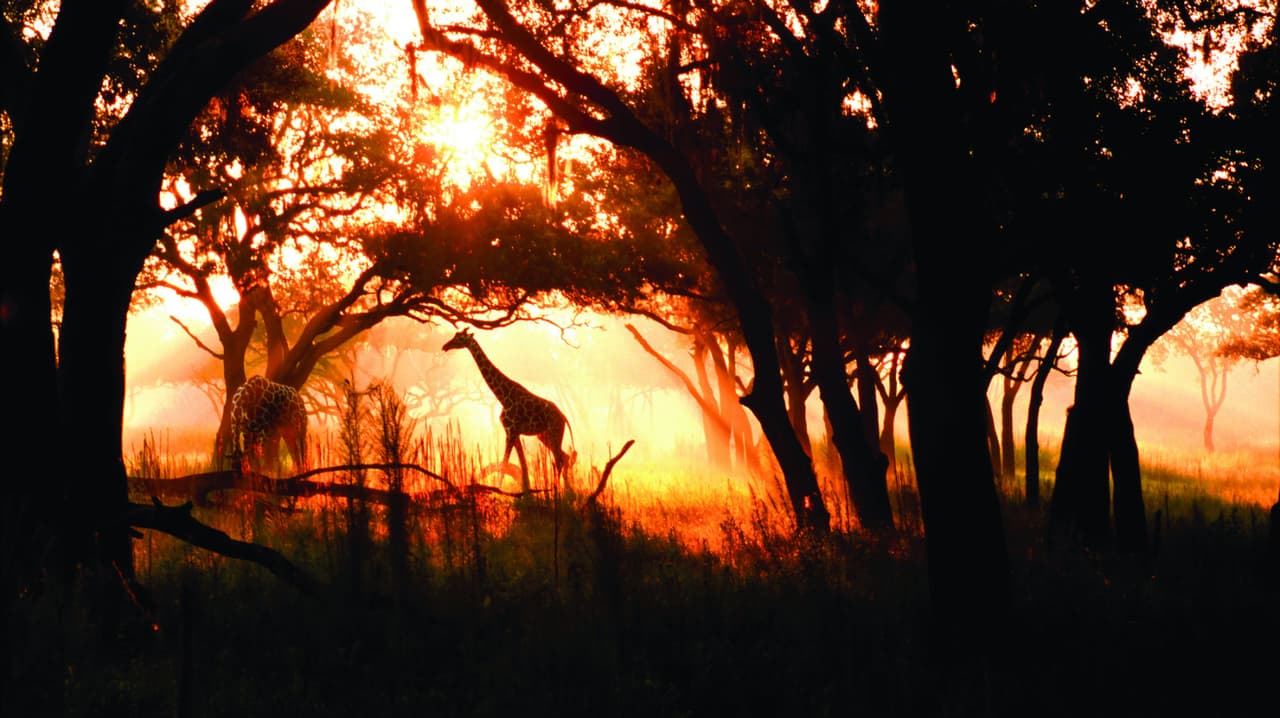 ¿Viajás a Disney? Estas son las atracciones que tenés que conocer sí o sí