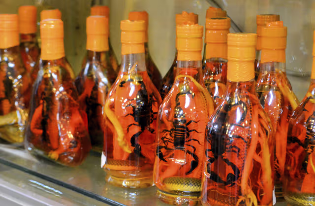 6 bebidas con insectos que tienes que ser muy valiente para probar ...