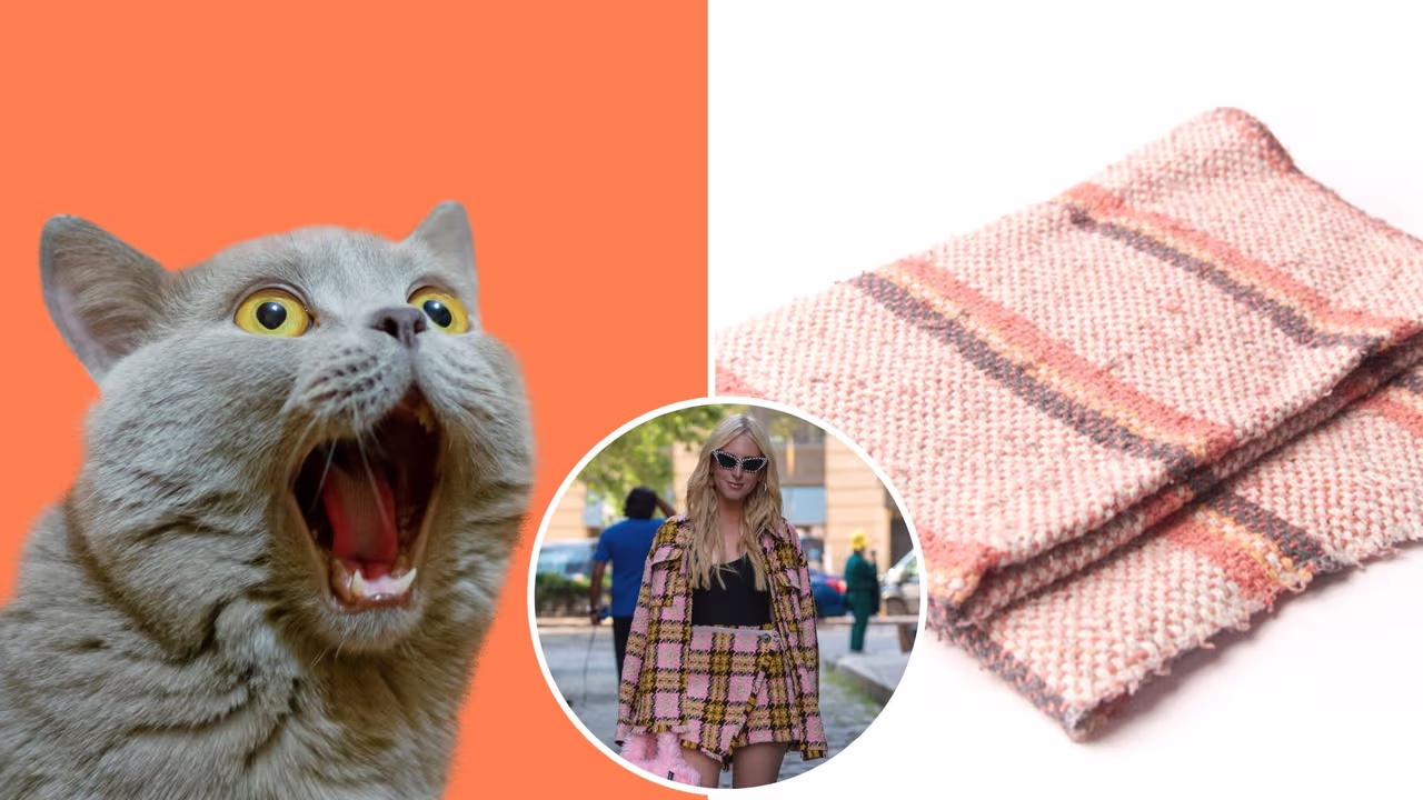 Los mejores memes de la ropa hecha con jerga que vende una marca ...