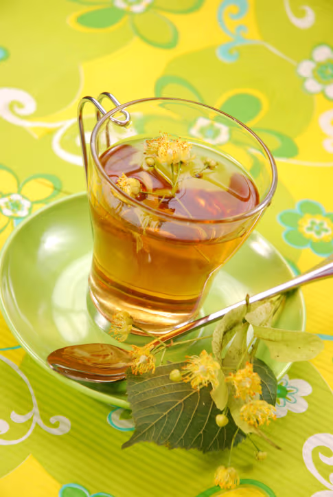 Beneficios del té de tilo para la salud | Estilo de Vida Bienestar ...