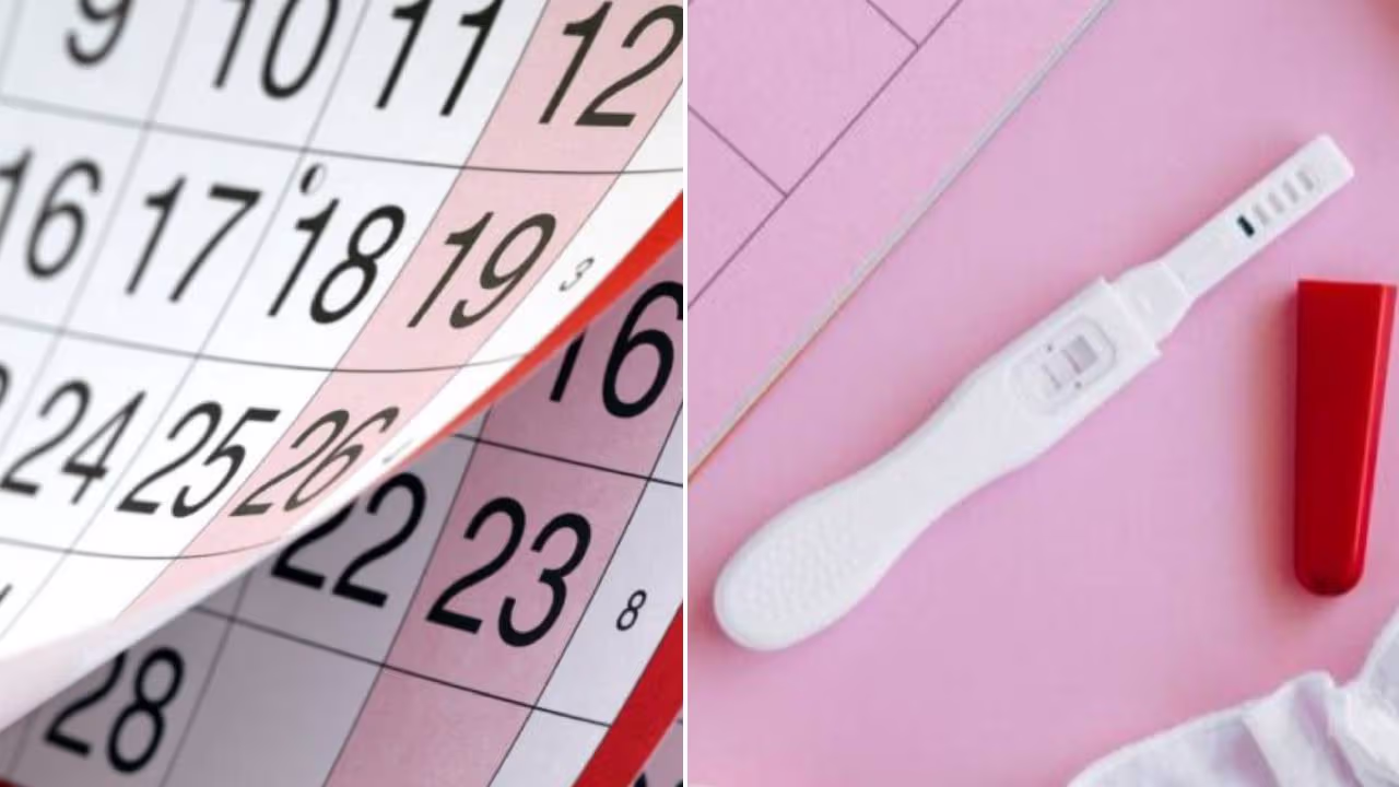 Se Puede Hacer Una Test De Embarazo A Los 15 Dias De La Relacion