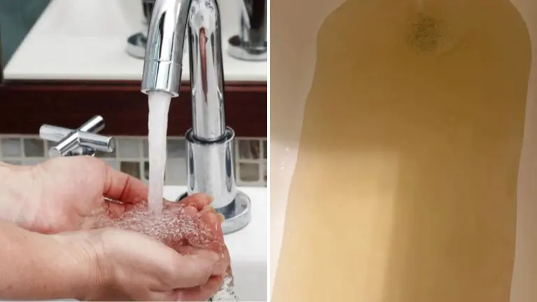 Habitantes de Hutto denuncian coloración en el agua; esto es lo que sucede, según la ciudad – Univision