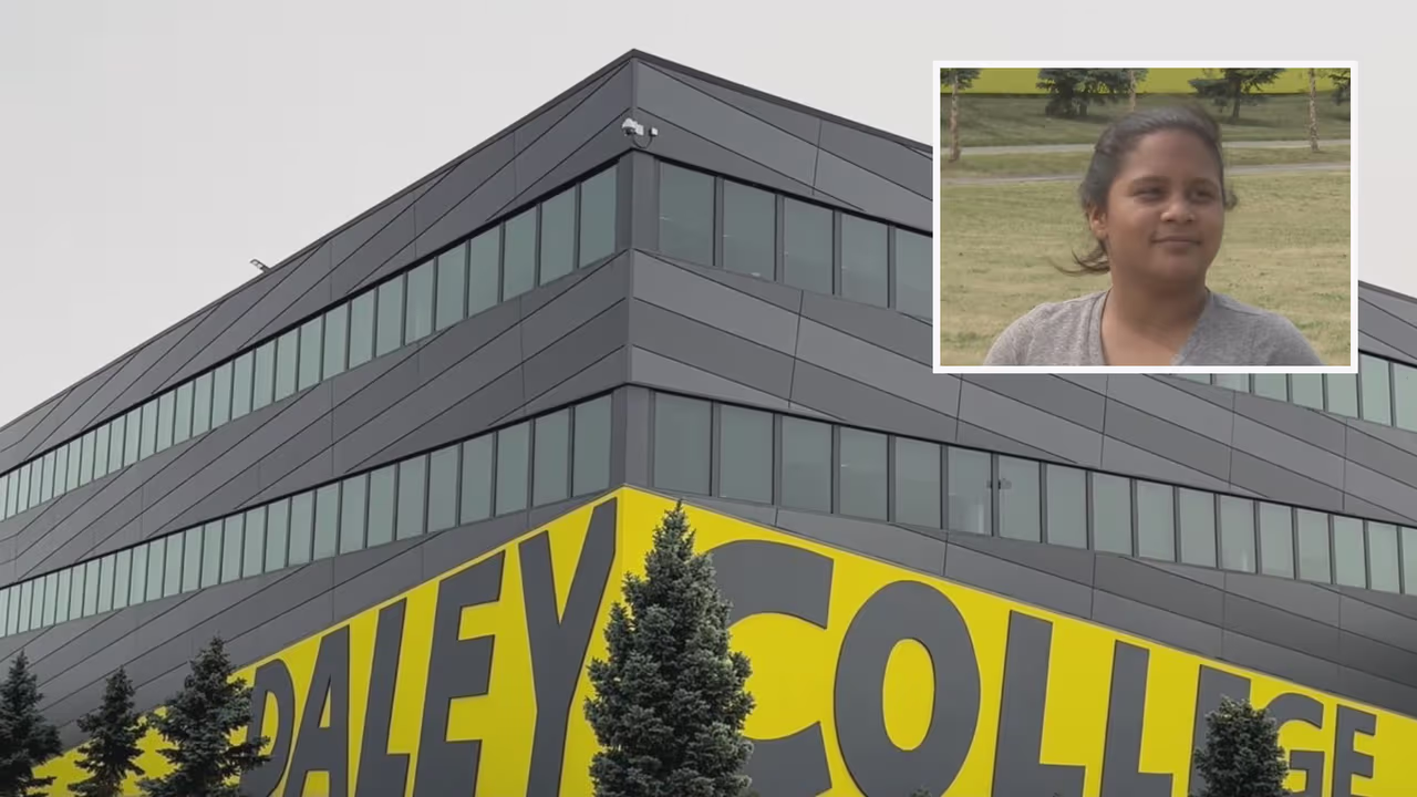 Daley College recibe a 20 familias migrantes: te contamos cómo funciona ...