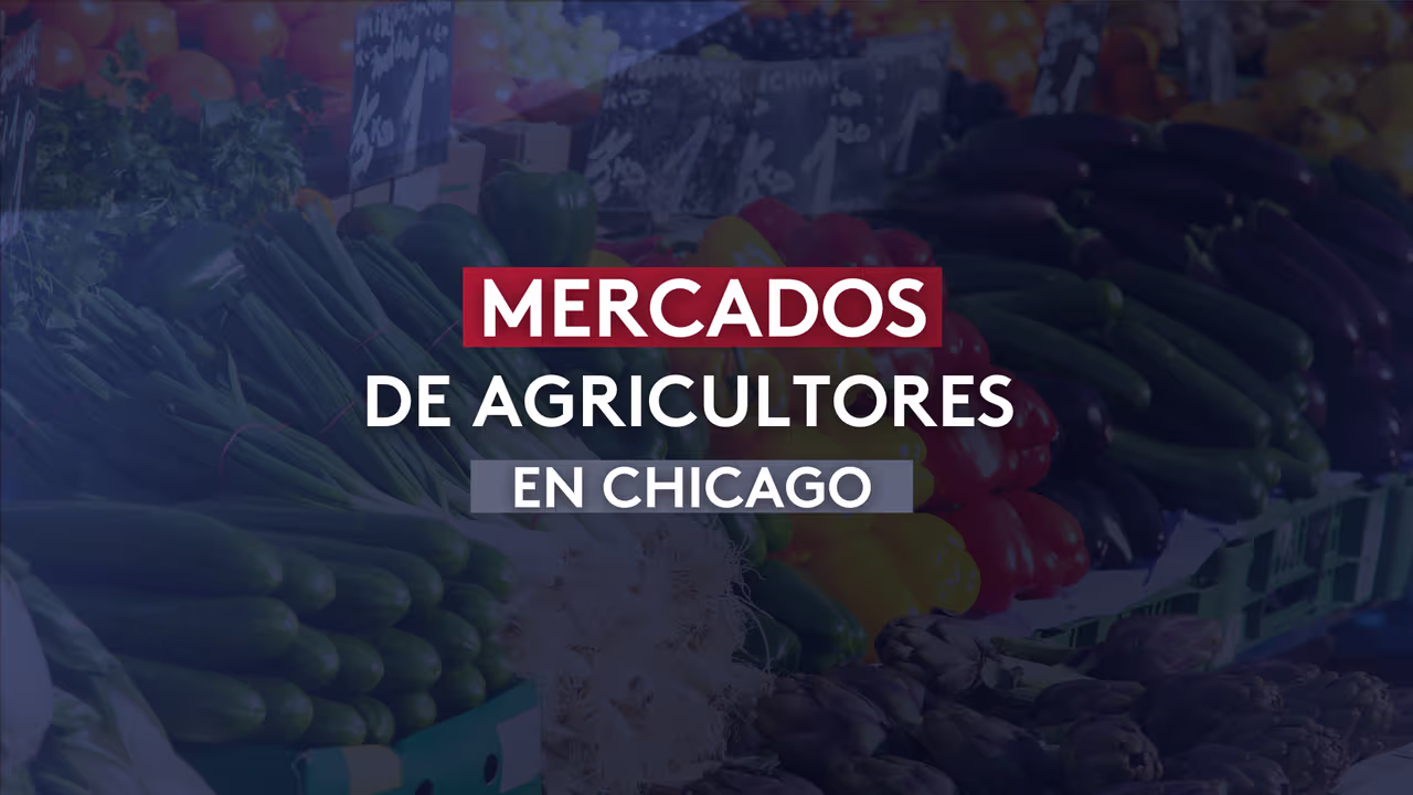 Los populares Farmers Markets o mercados de agricultores comienzan a ...
