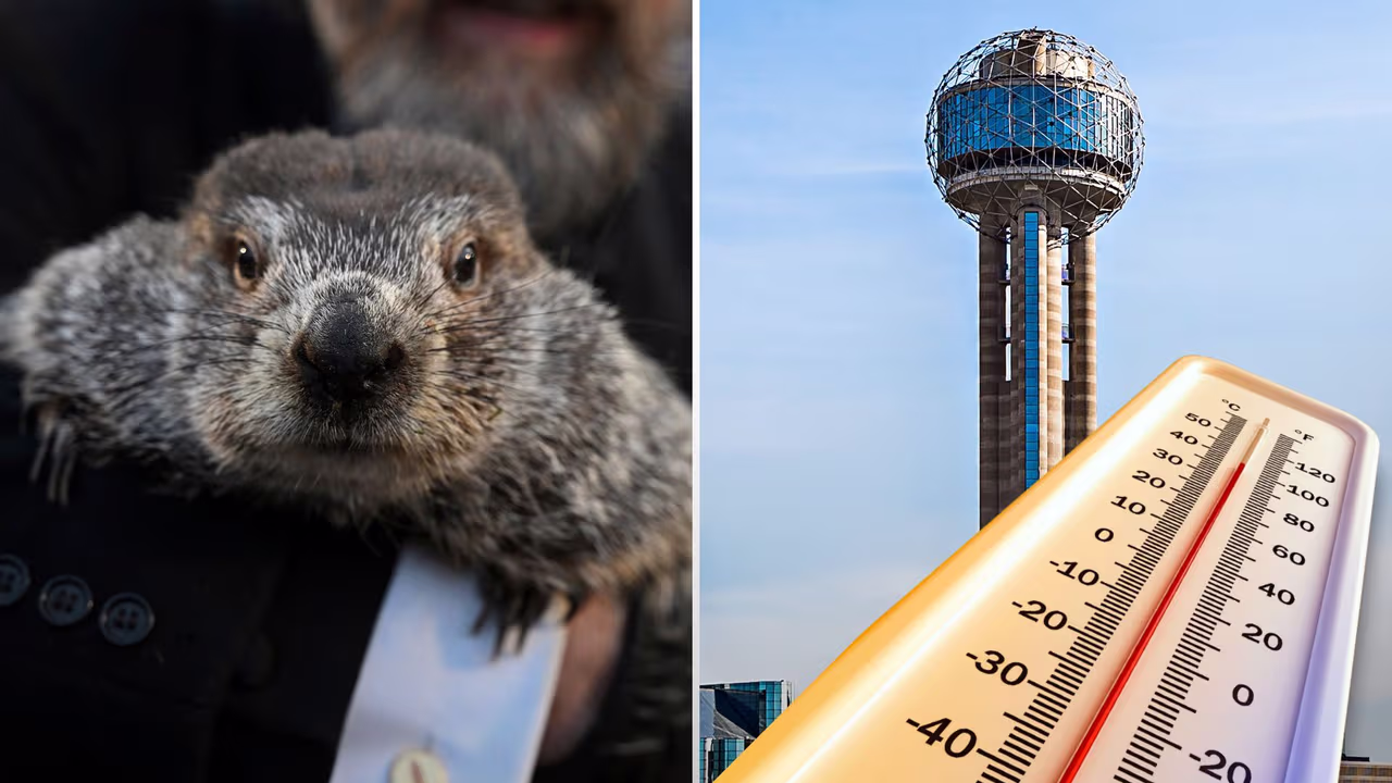 La marmota Phil predice más invierno, pero Dallas - Fort Worth y el ...