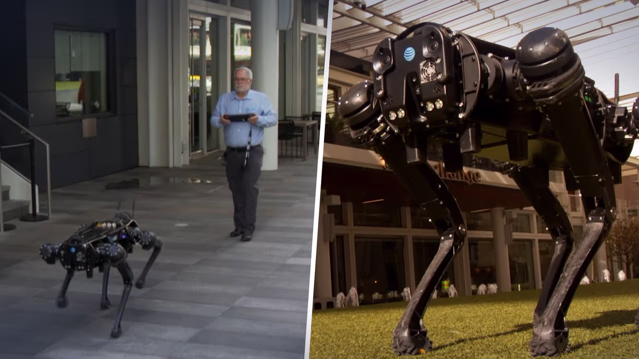 Desarrollan un perro robot para misiones de seguridad y alto riesgo ...