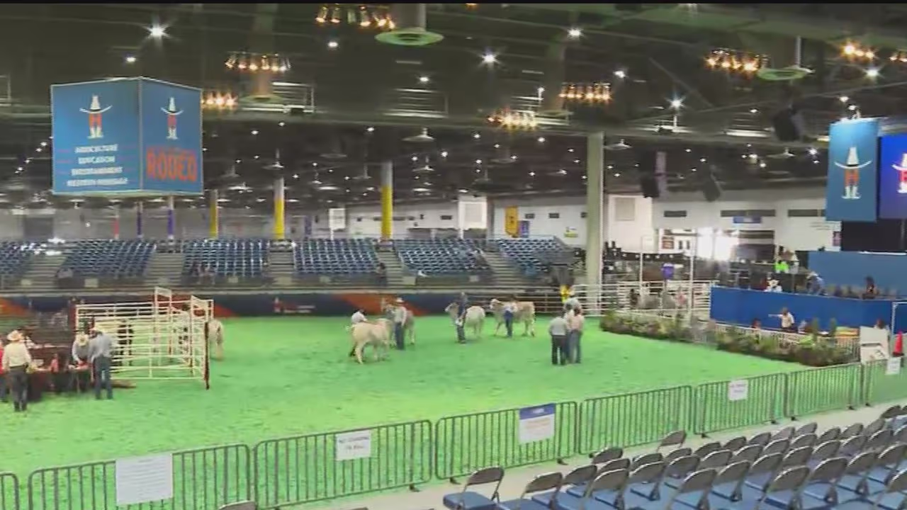 Inicia oficialmente el Rodeo Houston 2023 y los niños menores de 2 años ...