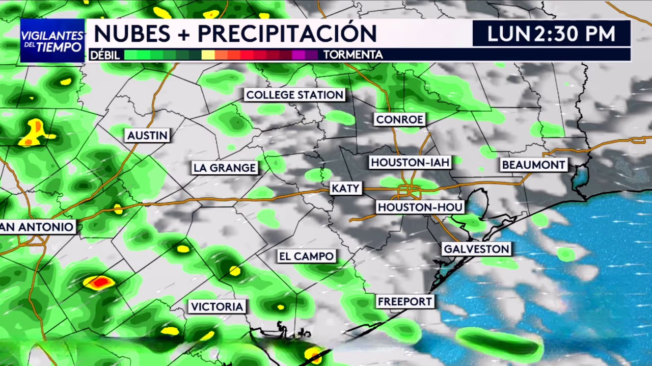 Pronóstico Clima hoy en Houston, Texas, del 20 de abril de 2026: 40% de ...