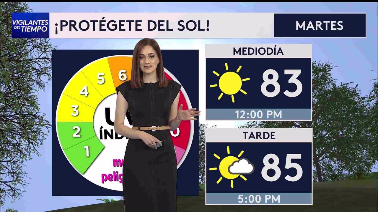 Pronóstico Clima hoy en Houston, Texas, del 12 de mayo de 2026 ...