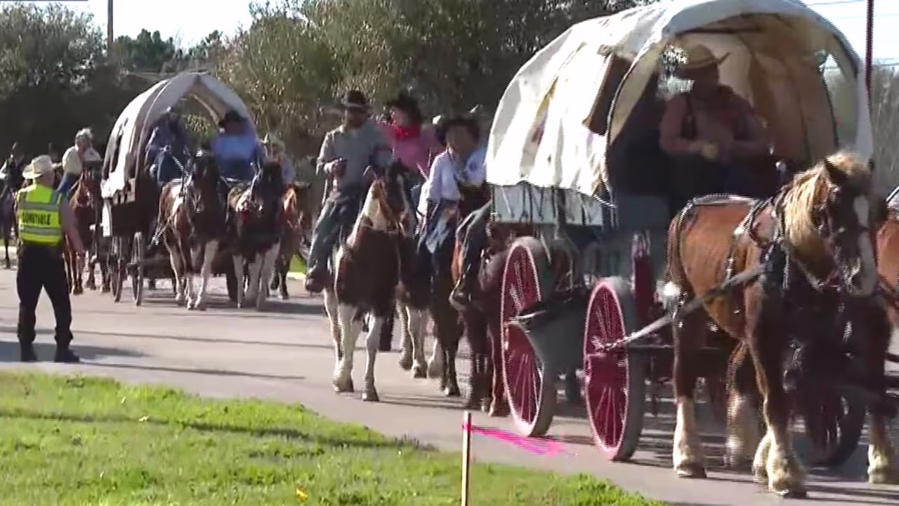 Rodeo de Houston 2024: Vaqueros cabalgan y acampan en el sitio | Video ...