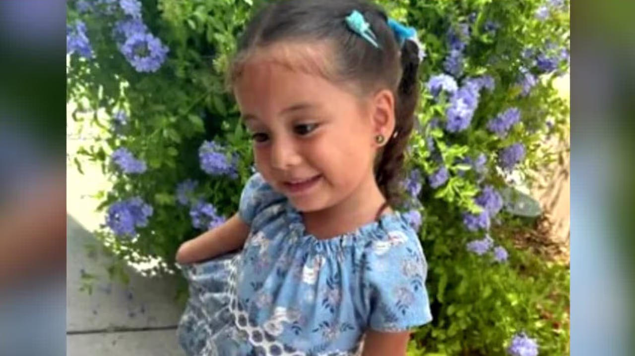 Niña de 3 años muere dentro de un auto; acusan a su madre de homicidio ...