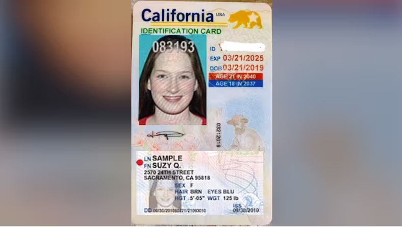 Real ID para niños: ¿Es obligatorio que mis hijos tengan la nueva ...