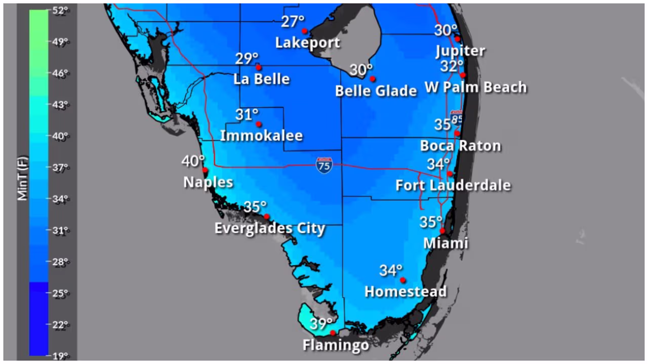 Emiten alertas y avisos por frío extremo en Miami: temperaturas más ...