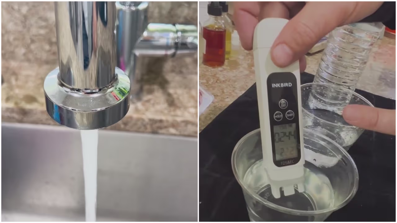 Alerta sobre calidad del agua en Florida: experto asegura que “tiene ...