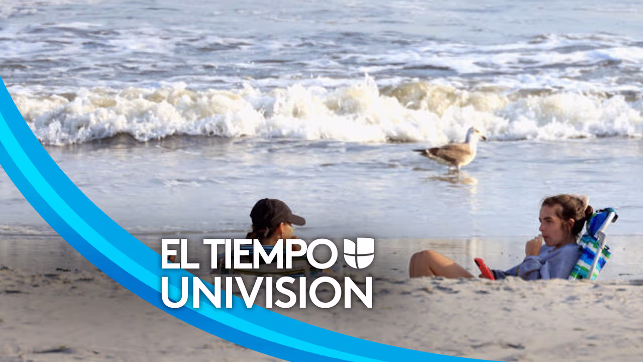 Emiten alerta por marea roja en playas de los condados Sarasota ...
