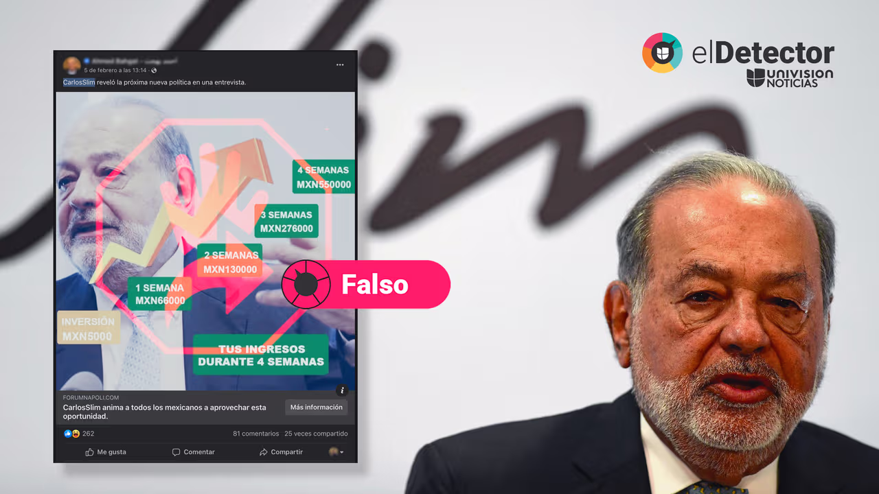 Image accompanying El empresario mexicano Carlos Slim le dio una entrevista a Danielle Dithurbide en la que promovió inversiones en criptomonedas a través de una plataforma digita