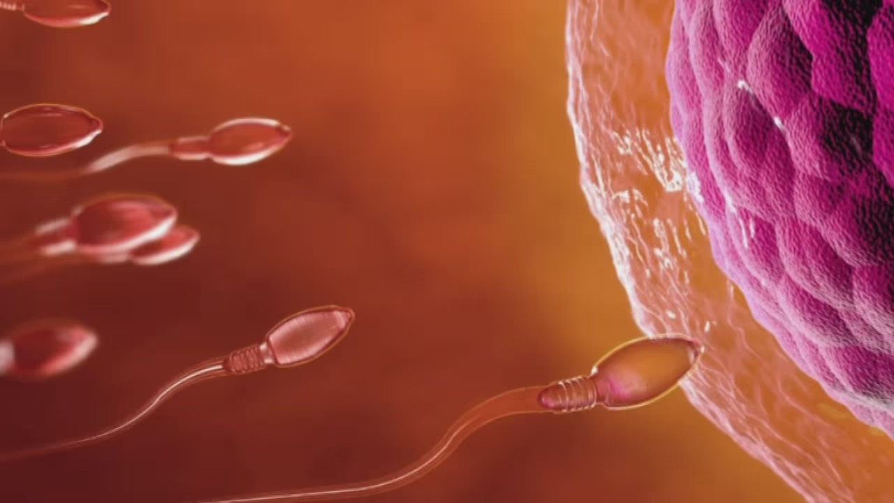 Donante de esperma con un gen cancerígeno engendró a casi 200 niños en ...