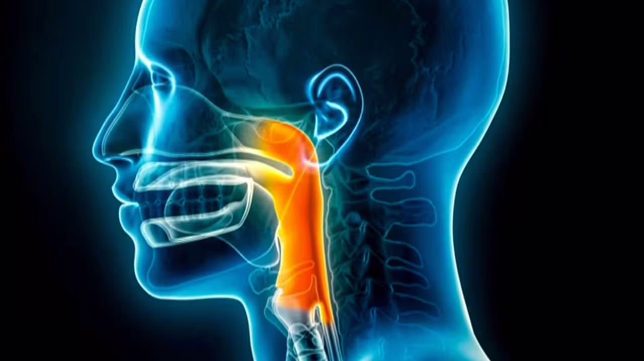 Average Cost of Voice Change Surgery