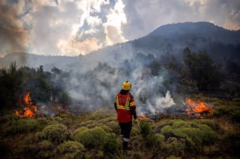 El mayor incendio forestal en la historia de Nebraska sigue fuera de  control y ha arrasado cientos de miles de acres | N+ Univision Estados  Unidos | Univision