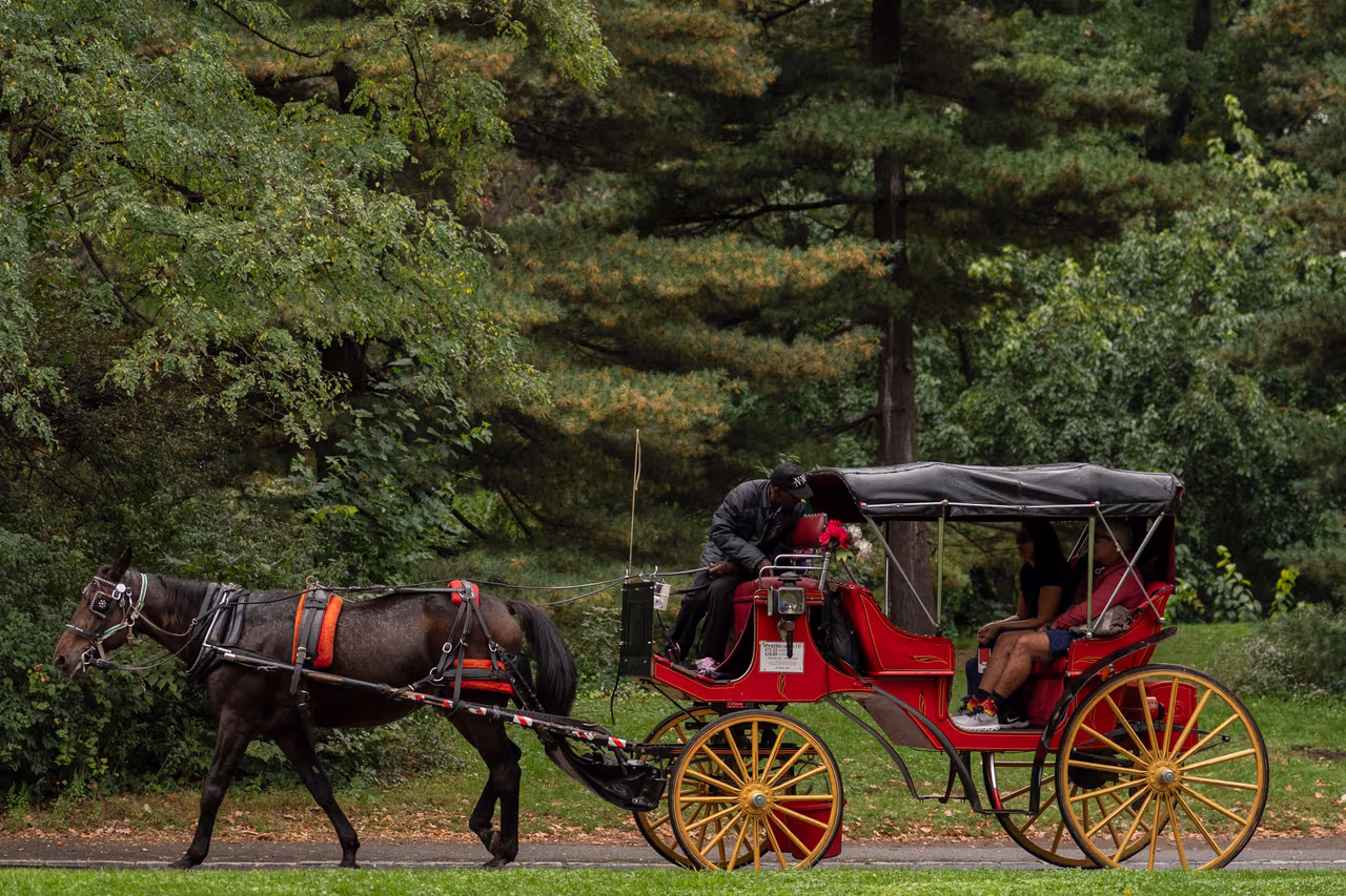 Nueva York planea prohibir los carruajes tirados por caballos: en esto consiste la propuesta