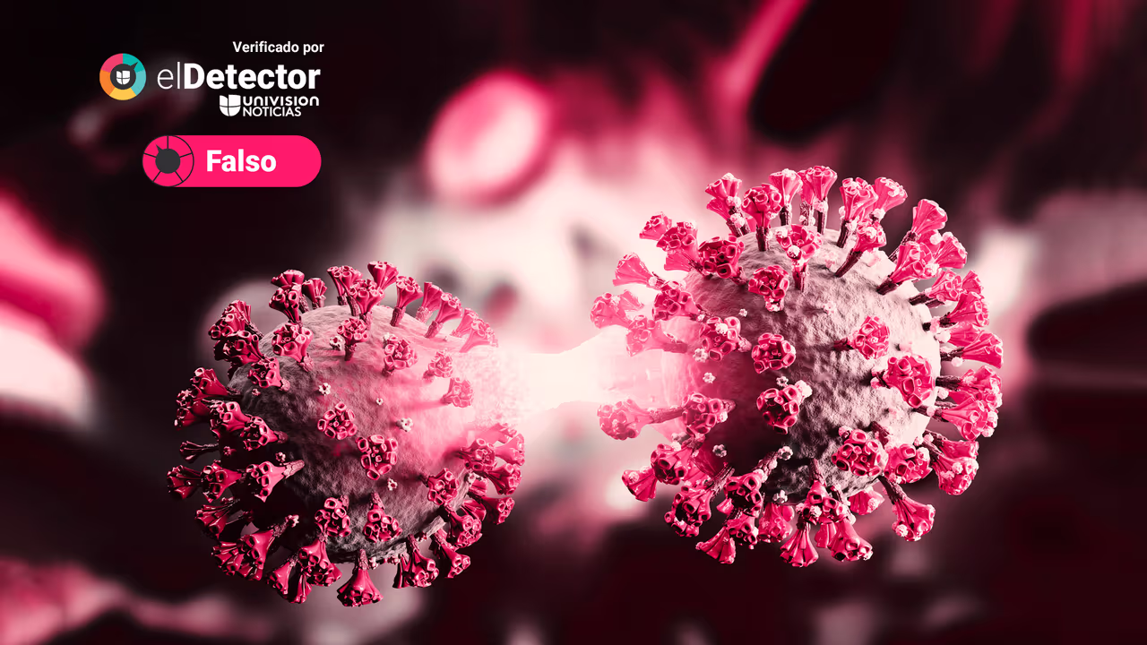 Image accompanying Existe una “alerta sobre la nueva variante del coronavirus, llamada arcturus”.