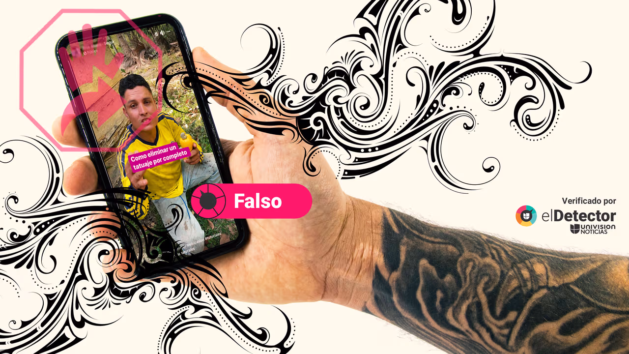 Image accompanying El fruto del marañón o anacardo aplicado directamente sobre un tatuaje ayuda a “extraer la tinta” y eliminar el tatuaje de forma natural.