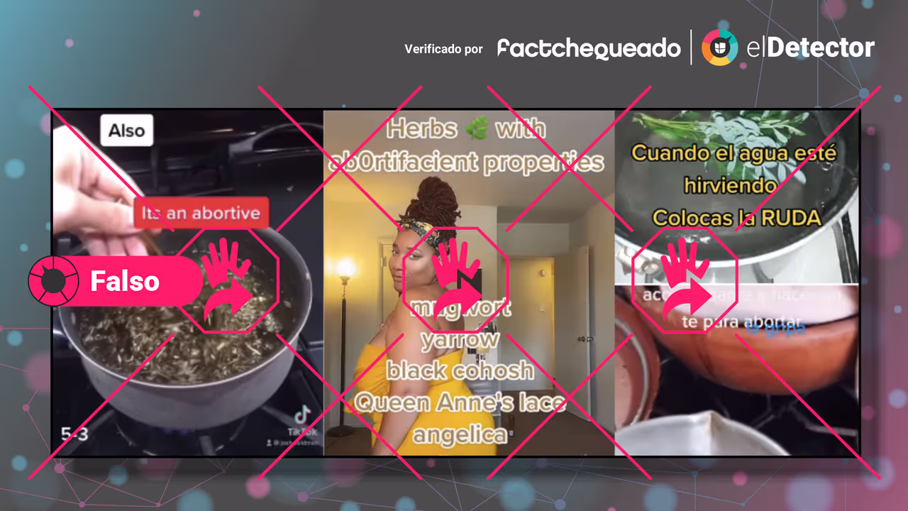 Image accompanying Remedios caseros e infusiones a base de hierbas son un método seguro y efectivo para "provocar un aborto”