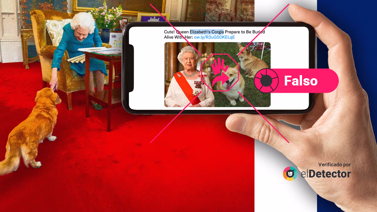 Image accompanying Los perros de la reina Isabel II van a ser enterrados vivos junto a ella